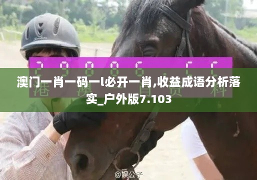 澳门一肖一码一l必开一肖,收益成语分析落实_户外版7.103