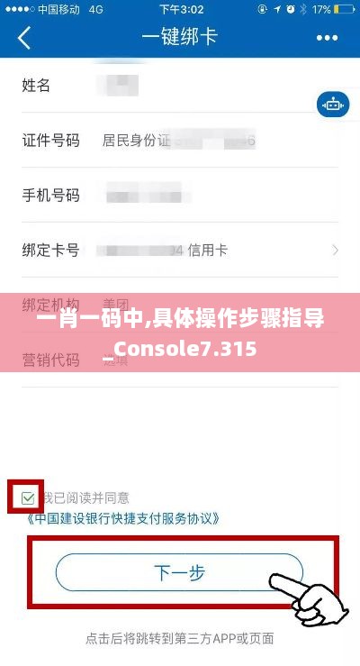 一肖一码中,具体操作步骤指导_Console7.315
