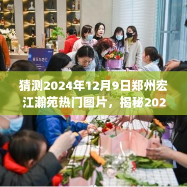 2024年12月9日郑州宏江瀚苑，热门图片背后的神秘面纱探访之旅