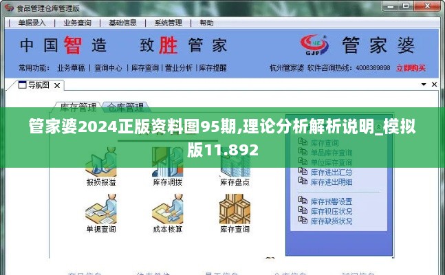 管家婆2024正版资料图95期,理论分析解析说明_模拟版11.892