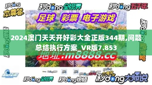 2024澳门天天开好彩大全正版344期,问题总结执行方案_VR版7.853