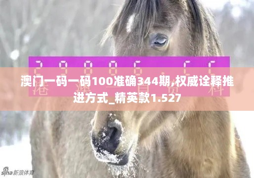 澳门一码一码100准确344期,权威诠释推进方式_精英款1.527