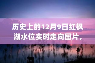 红枫湖水位变迁揭秘，历史上的12月9日水位实时走向图解指南图片展示探索之旅