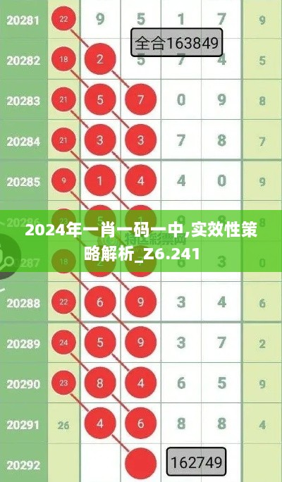 2024年一肖一码一中,实效性策略解析_Z6.241