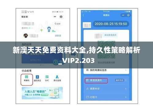新澳天天免费资料大全,持久性策略解析_VIP2.203