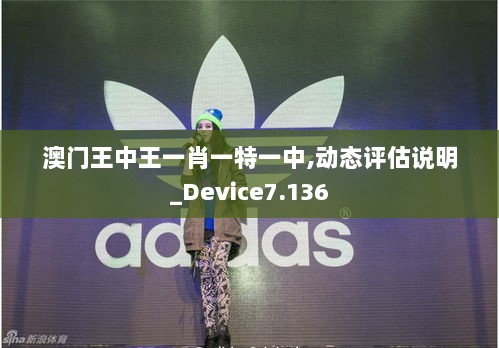 澳门王中王一肖一特一中,动态评估说明_Device7.136