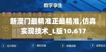 新澳门最精准正最精准,仿真实现技术_L版10.617