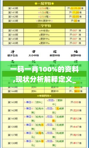 一码一肖100%的资料,现状分析解释定义_专业版9.811