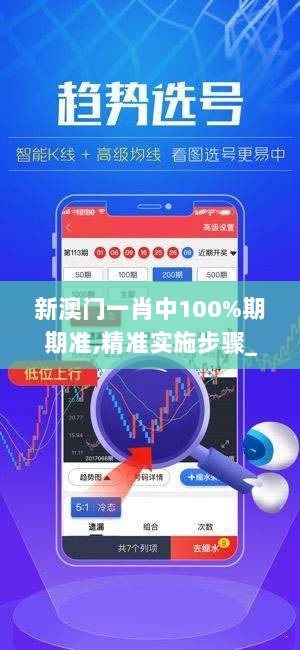 新澳门一肖中100%期期准,精准实施步骤_S2.868