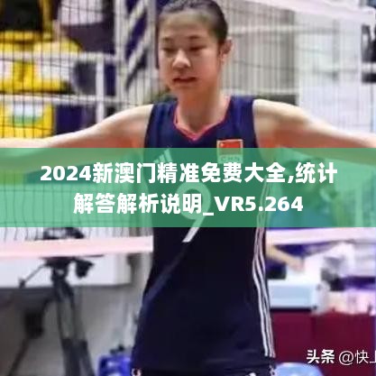 2024新澳门精准免费大全,统计解答解析说明_VR5.264