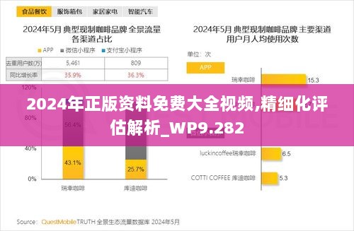 2024年正版资料免费大全视频,精细化评估解析_WP9.282