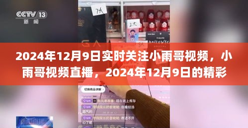 2024年12月9日小雨哥视频直播回顾，精彩瞬间与深度解读