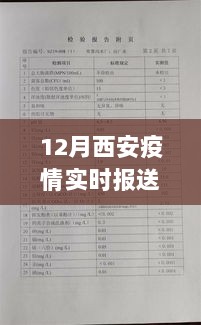 12月西安疫情实时报送电话，信息公开与隐私保护的平衡之道