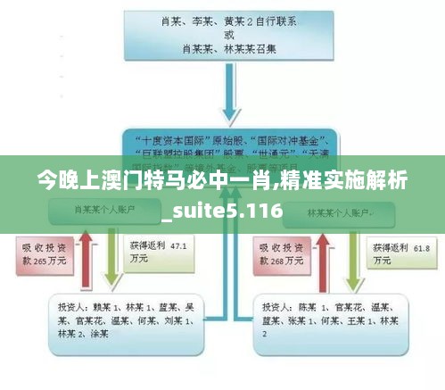 今晚上澳门特马必中一肖,精准实施解析_suite5.116