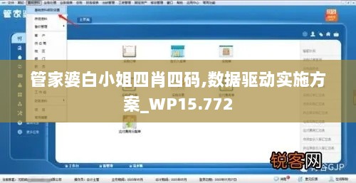 管家婆白小姐四肖四码,数据驱动实施方案_WP15.772