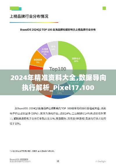 2024年精准资料大全,数据导向执行解析_Pixel17.100