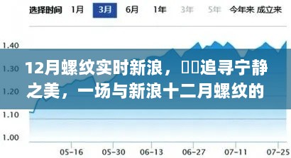 新浪十二月螺纹，追寻宁静之美的奇妙邂逅之旅