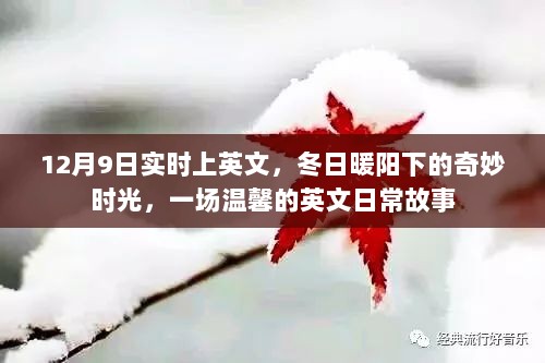 冬日暖阳下的温馨日常，一场奇妙的英文故事时光