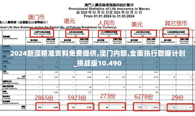 2024新澳精准资料免费提供,澳门内部,全面执行数据计划_挑战版10.490