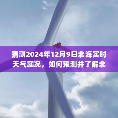 北海市天气预报探索，如何预测并了解北海未来天气实况（以北海市为例）