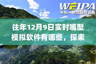 实时嘴型模拟软件与自然美景探索，内心的平静与奇妙之旅