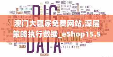 澳门大赢家免费网站,深层策略执行数据_eShop15.512