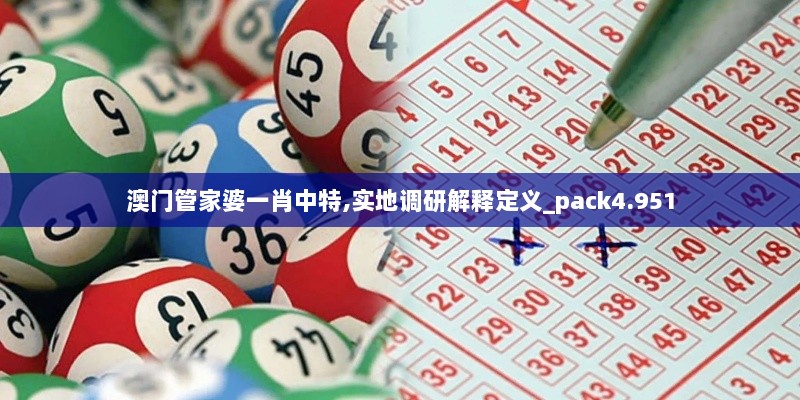 澳门管家婆一肖中特,实地调研解释定义_pack4.951