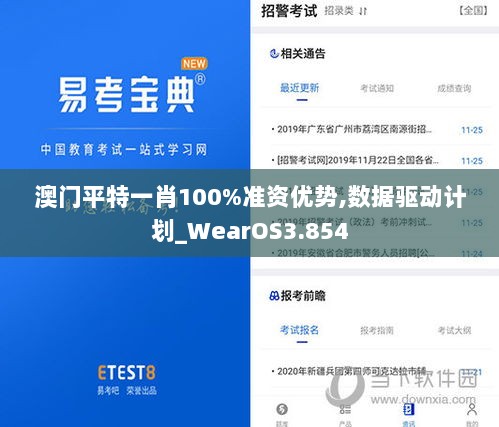 澳门平特一肖100%准资优势,数据驱动计划_WearOS3.854