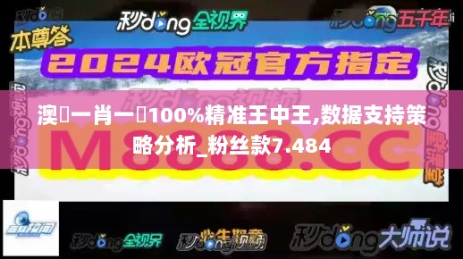 澳門一肖一碼100%精准王中王,数据支持策略分析_粉丝款7.484