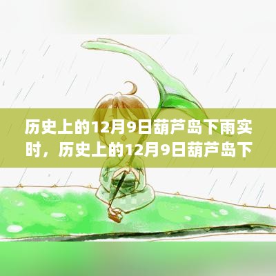 历史上的葫芦岛12月9日下雨事件深度解析与实时回顾