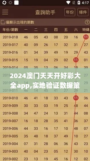 2024澳门天天开好彩大全app,实地验证数据策略_7DM17.692