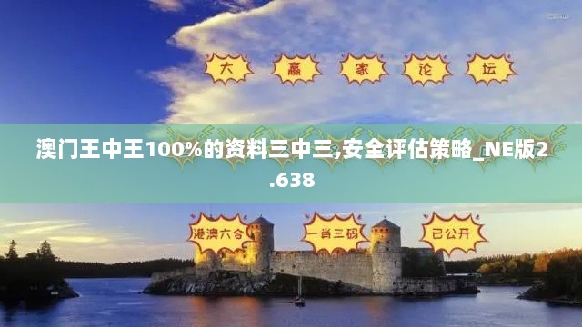 澳门王中王100%的资料三中三,安全评估策略_NE版2.638