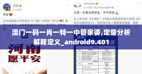 澳门一码一肖一特一中管家婆,定量分析解释定义_android9.401