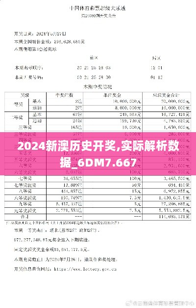 2024新澳历史开奖,实际解析数据_6DM7.667