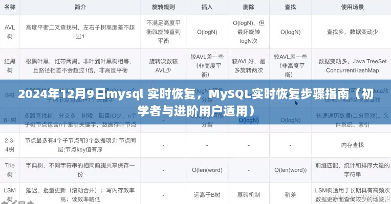 MySQL实时恢复步骤指南，从初学者到进阶用户的全面指南（2024年12月9日更新）