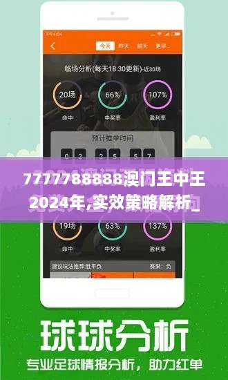 7777788888澳门王中王2024年,实效策略解析_D版7.206