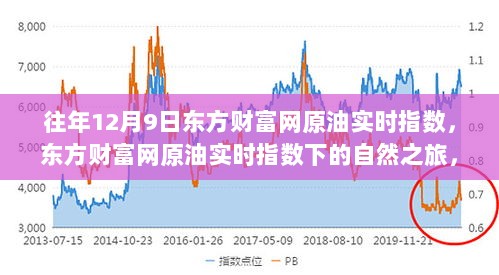 东方财富网原油实时指数下的心灵之旅，探寻内心宁静与平和的启示