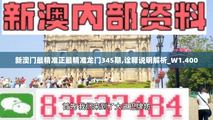 新澳门最精准正最精准龙门345期,诠释说明解析_W1.400