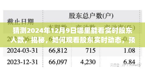 2024年12月10日 第17页