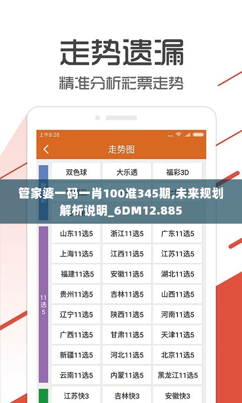 管家婆一码一肖100准345期,未来规划解析说明_6DM12.885