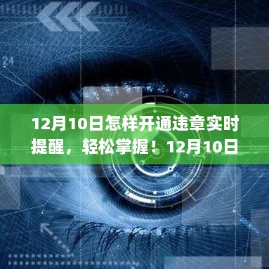 如何轻松开通违章实时提醒功能，行车无忧指南（12月10日）