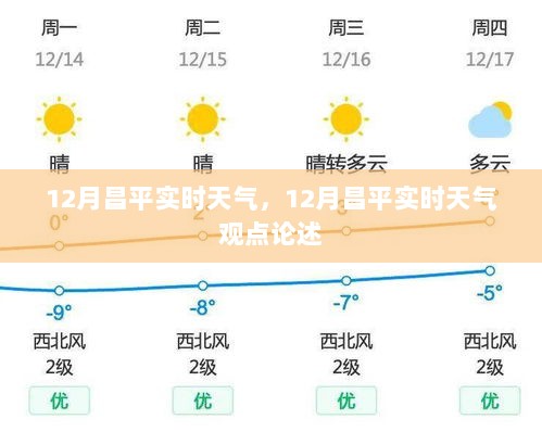 2024年12月10日 第8页