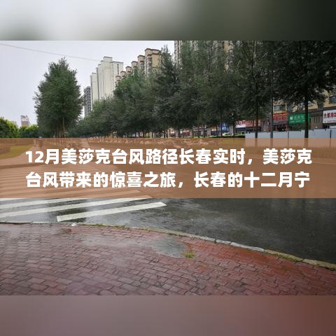 美莎克台风下的长春惊喜之旅，十二月宁静风光与实时路径追踪