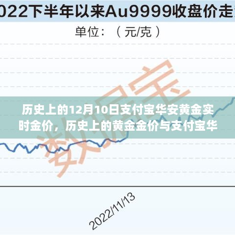 支付宝华安黄金实时金价深度解析，历史金价与观点阐述