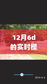 探秘巷弄深处的独特小店之旅，12月6D实时模式揭秘