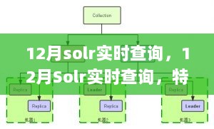 深度解析，Solr实时查询特性、体验、竞品对比及用户群体定位——以十二月为例