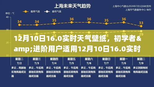 初学者与进阶用户适用的12月10日实时天气壁纸制作指南