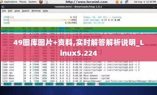 49图库图片+资料,实时解答解析说明_Linux5.224