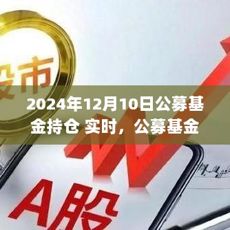 公募基金持仓实时查看指南，从初学者到进阶用户，掌握最新市场动态（以2024年12月10日为例）