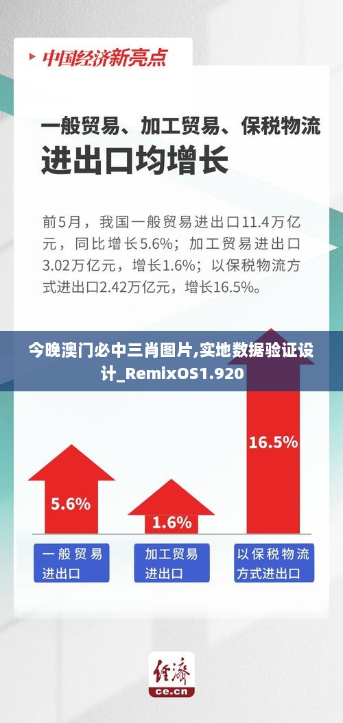 今晚澳门必中三肖图片,实地数据验证设计_RemixOS1.920